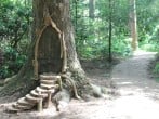 Fairy treehouse Fairy treehouse